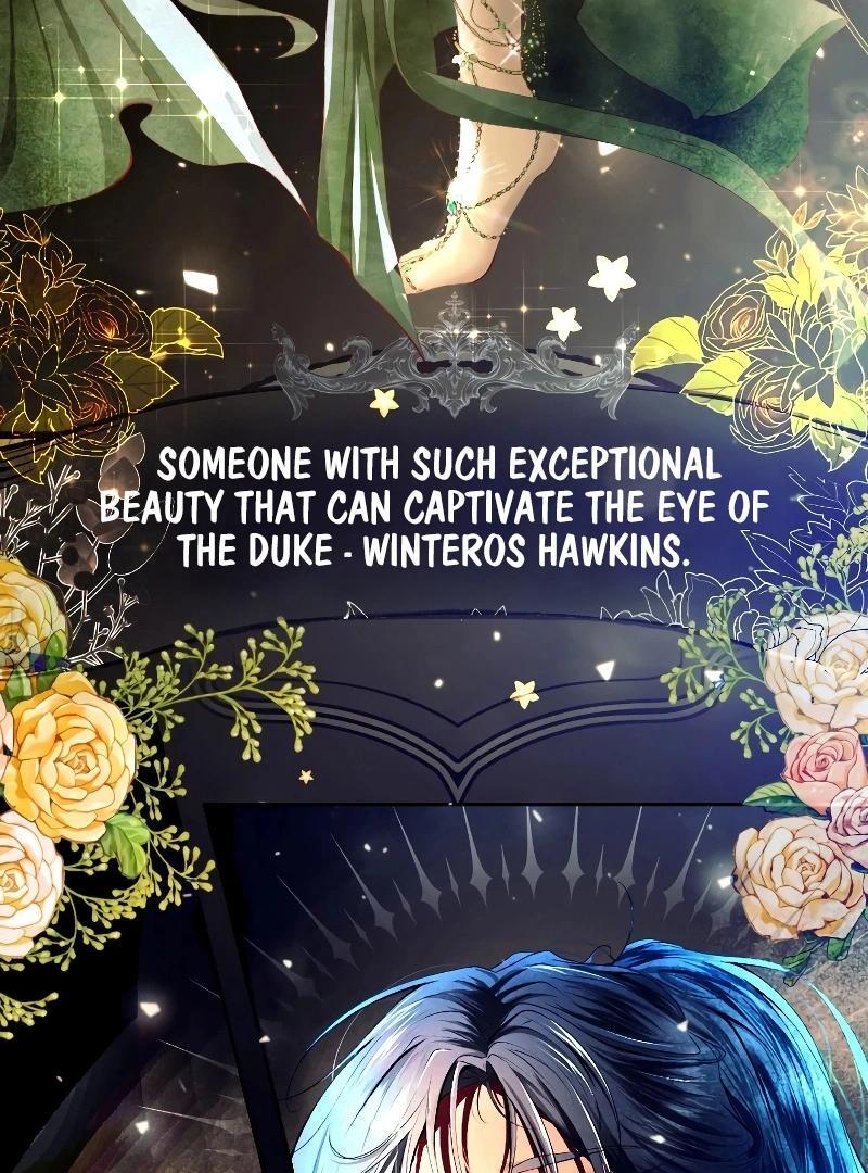 74288256 800 1080 184032